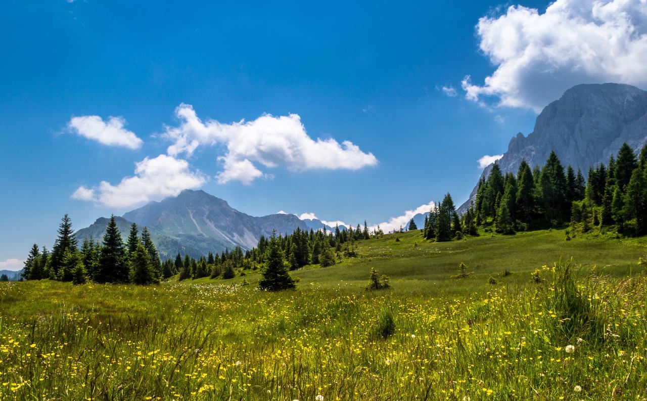Residence Cavanis Wellness & Spa Sappada Buitenkant foto