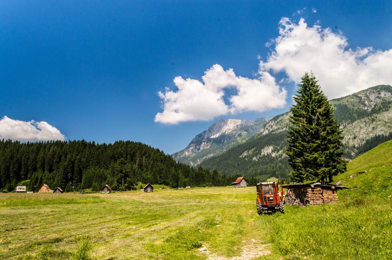 Residence Cavanis Wellness & Spa Sappada Buitenkant foto