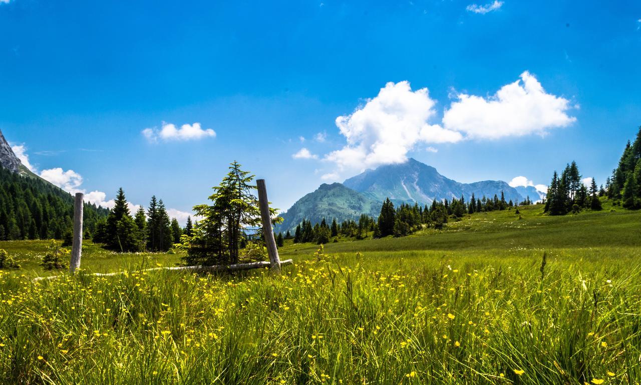Residence Cavanis Wellness & Spa Sappada Buitenkant foto